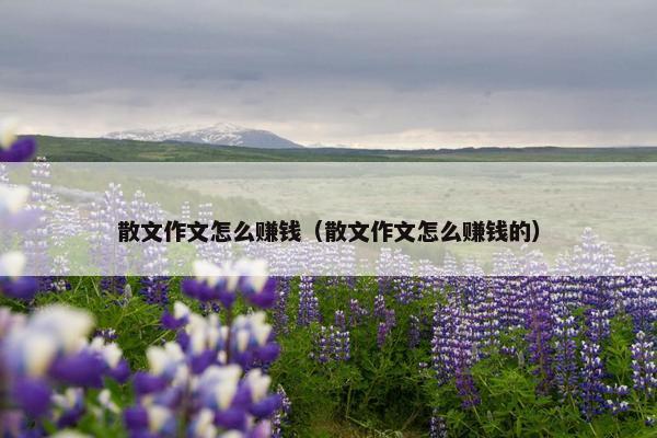 散文作文怎么赚钱（散文作文怎么赚钱的）