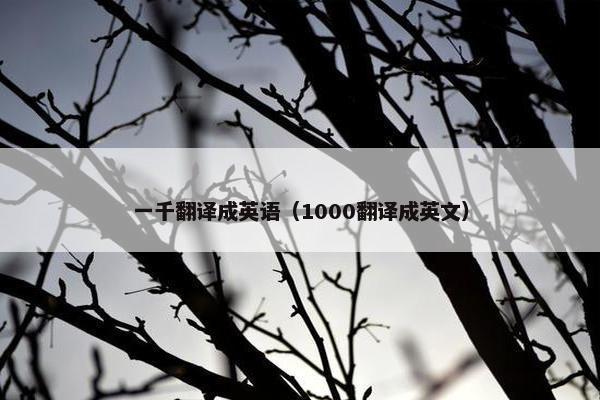 一千翻译成英语（1000翻译成英文）