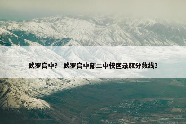武罗高中？ 武罗高中部二中校区录取分数线？