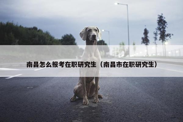 南昌怎么报考在职研究生（南昌市在职研究生）