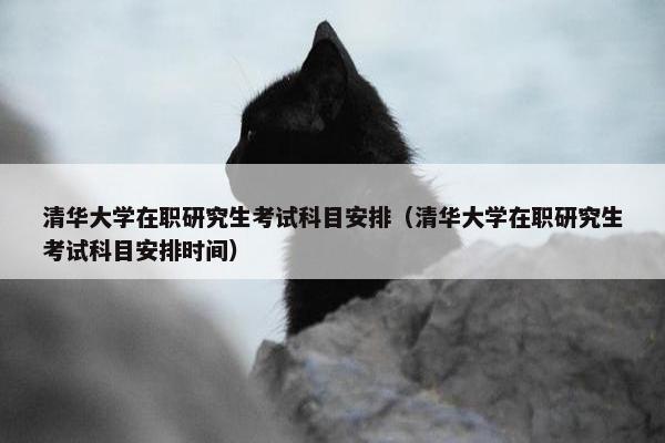清华大学在职研究生考试科目安排（清华大学在职研究生考试科目安排时间）