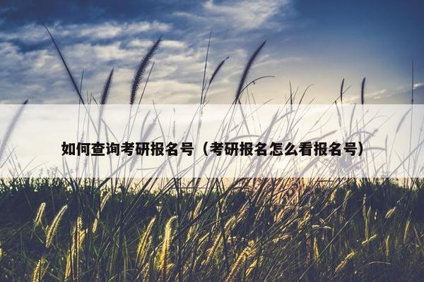 如何查询考研报名号（考研报名怎么看报名号）