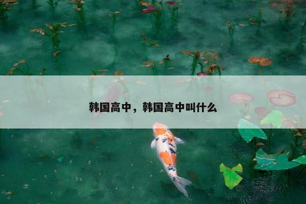 韩国高中，韩国高中叫什么