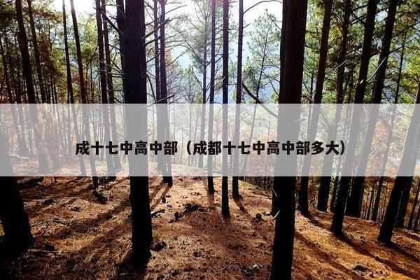 成十七中高中部（成都十七中高中部多大）