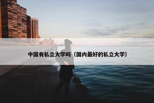 中国有私立大学吗（国内最好的私立大学）
