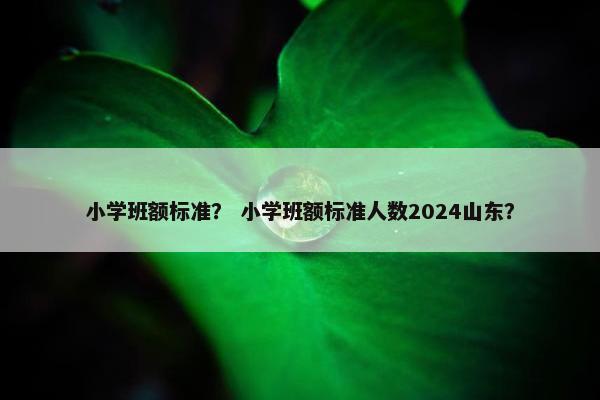 小学班额标准？ 小学班额标准人数2024山东？