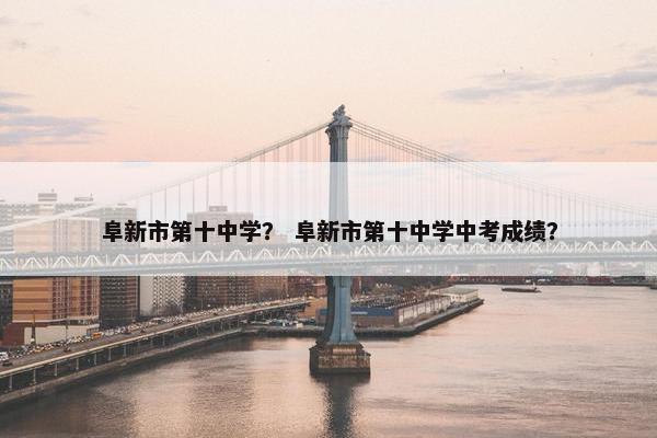 阜新市第十中学？ 阜新市第十中学中考成绩？