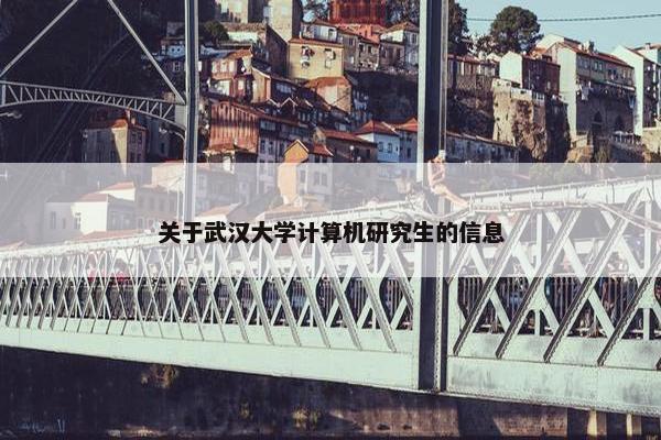 关于武汉大学计算机研究生的信息