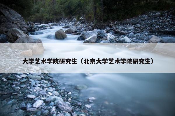 大学艺术学院研究生（北京大学艺术学院研究生）