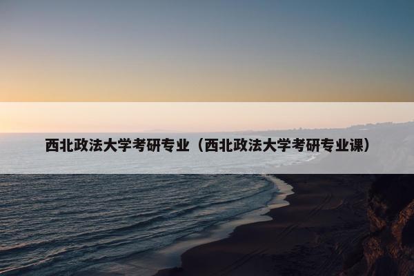 西北政法大学考研专业（西北政法大学考研专业课）