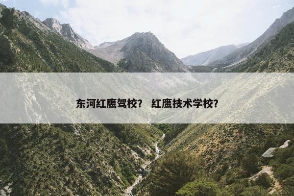 东河红鹰驾校？ 红鹰技术学校？