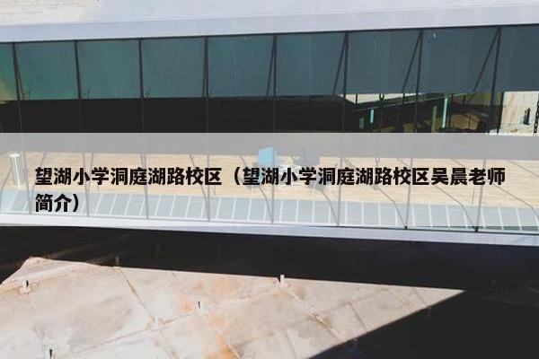 望湖小学洞庭湖路校区（望湖小学洞庭湖路校区吴晨老师简介）