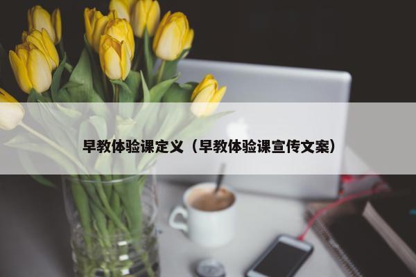 早教体验课定义（早教体验课宣传文案）