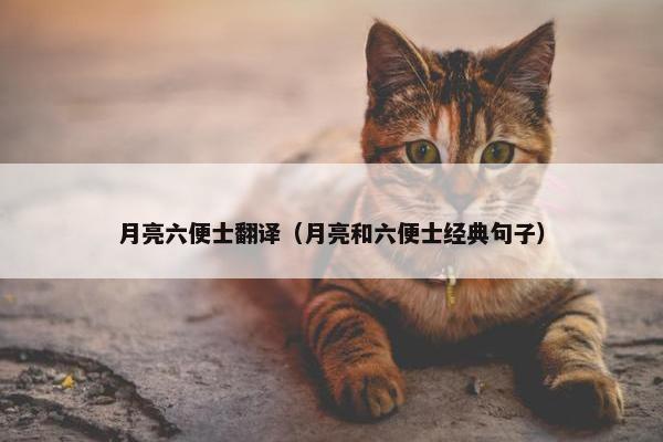 月亮六便士翻译（月亮和六便士经典句子）