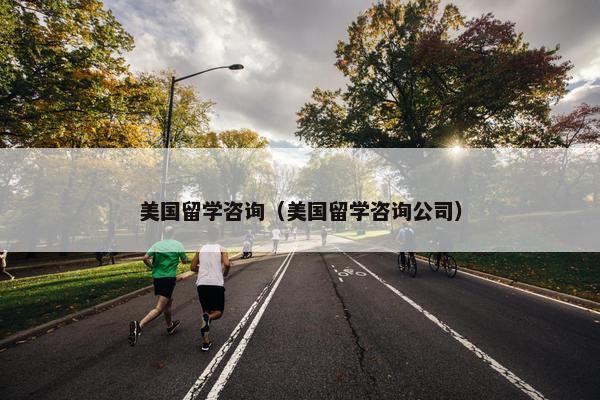 美国留学咨询（美国留学咨询公司）