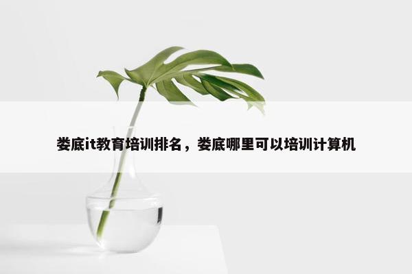 娄底it教育培训排名，娄底哪里可以培训计算机