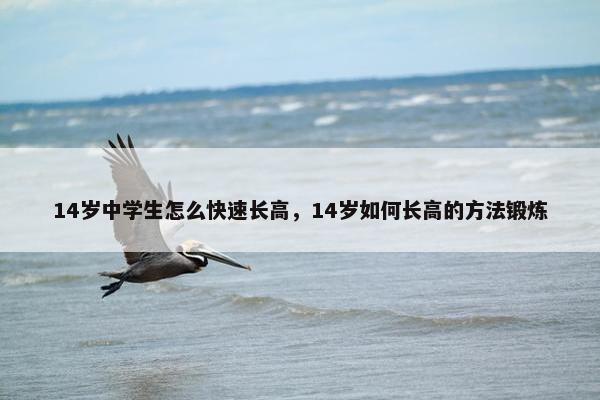 14岁中学生怎么快速长高，14岁如何长高的方法锻炼
