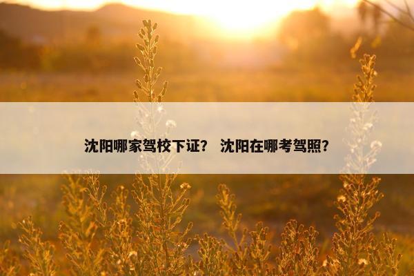 沈阳哪家驾校下证？ 沈阳在哪考驾照？
