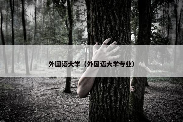 外国语大学（外国语大学专业）