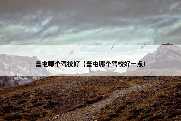 奎屯哪个驾校好（奎屯哪个驾校好一点）