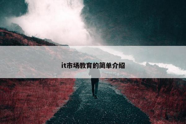 it市场教育的简单介绍