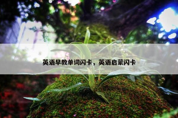 英语早教单词闪卡，英语启蒙闪卡