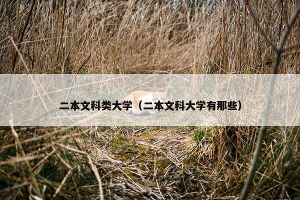 二本文科类大学（二本文科大学有那些）