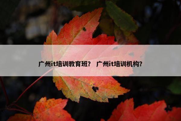 广州it培训教育班？ 广州it培训机构？