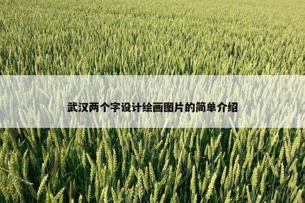 武汉两个字设计绘画图片的简单介绍