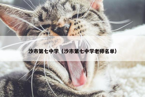 沙市第七中学（沙市第七中学老师名单）