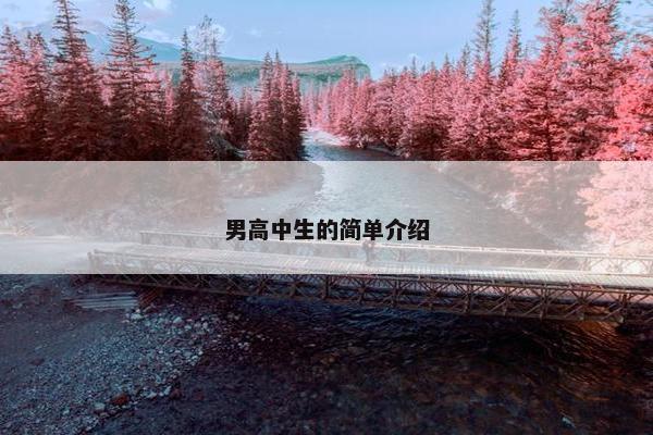 男高中生的简单介绍