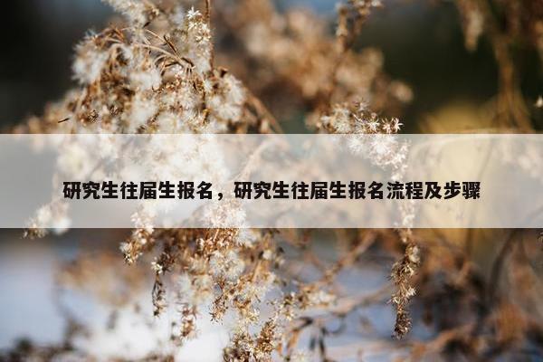研究生往届生报名，研究生往届生报名流程及步骤
