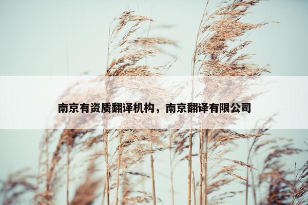 南京有资质翻译机构，南京翻译有限公司