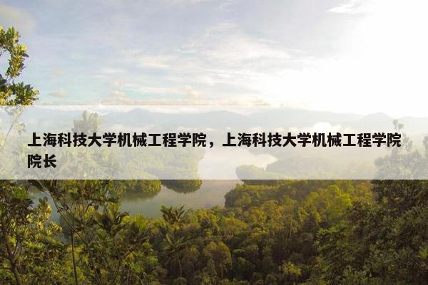 上海科技大学机械工程学院，上海科技大学机械工程学院院长