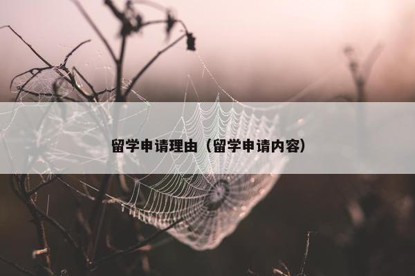 留学申请理由（留学申请内容）