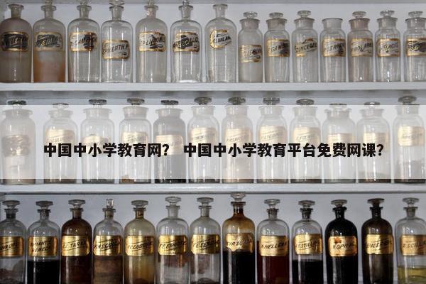 中国中小学教育网？ 中国中小学教育平台免费网课？
