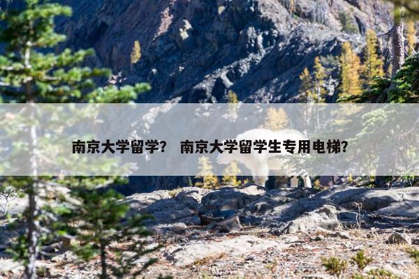 南京大学留学？ 南京大学留学生专用电梯？