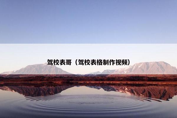 驾校表哥（驾校表格制作视频）