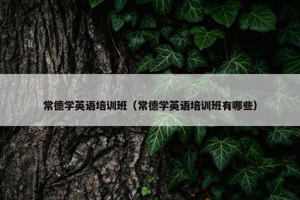 常德学英语培训班（常德学英语培训班有哪些）