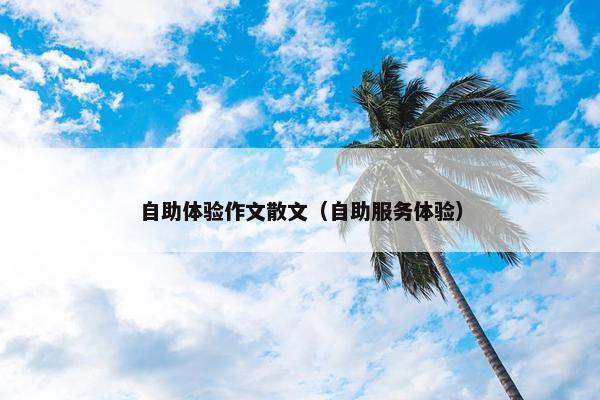 自助体验作文散文（自助服务体验）