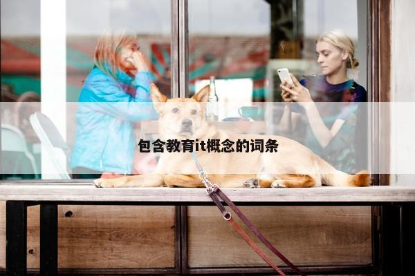 包含教育it概念的词条
