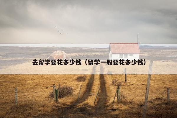 去留学要花多少钱（留学一般要花多少钱）