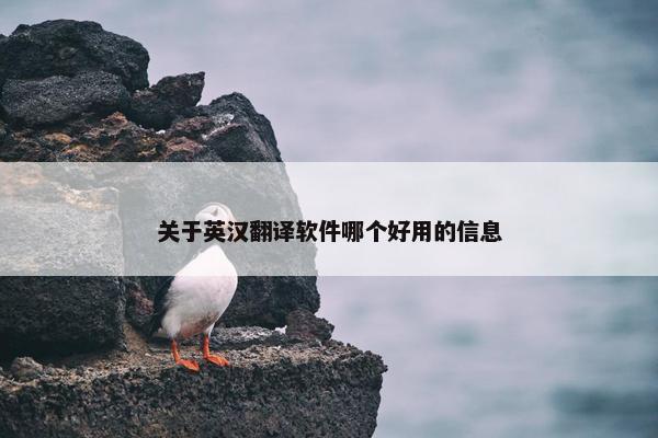 关于英汉翻译软件哪个好用的信息