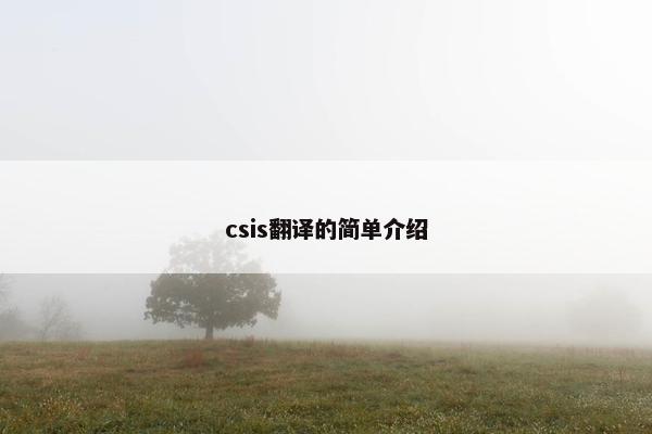 csis翻译的简单介绍