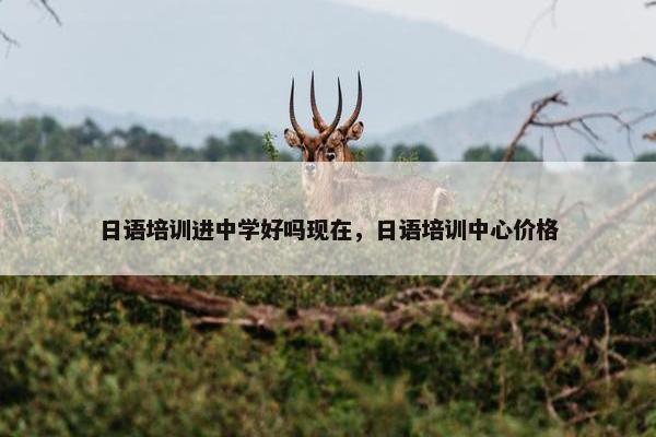 日语培训进中学好吗现在，日语培训中心价格