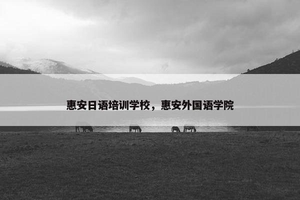 惠安日语培训学校，惠安外国语学院