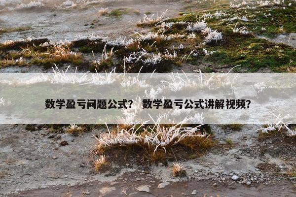 数学盈亏问题公式？ 数学盈亏公式讲解视频？