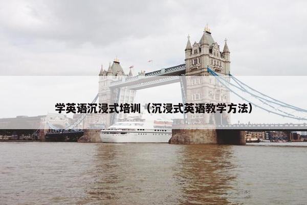 学英语沉浸式培训（沉浸式英语教学方法）