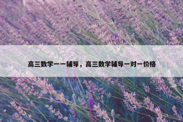 高三数学一一辅导，高三数学辅导一对一价格
