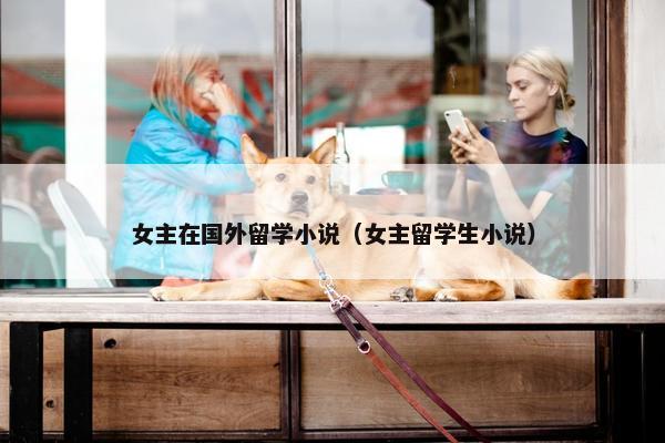 女主在国外留学小说（女主留学生小说）